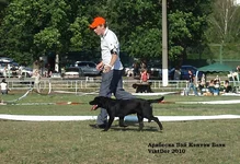  Изображение 149.webp