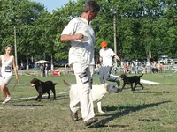  Изображение 157.webp