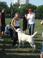  Изображение 186.webp