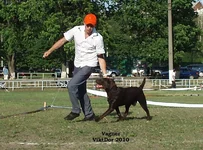  Изображение 229.webp