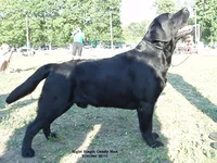  Изображение 248.webp