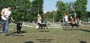  Изображение 250.webp