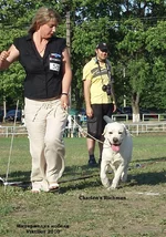  Изображение 273.webp