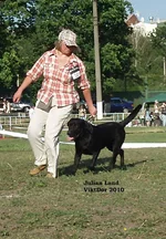  Изображение 296.webp