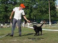  Изображение 311.webp