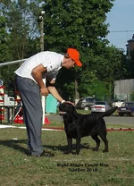  Изображение 318.webp