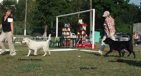  Изображение 321.webp