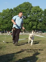  Изображение 337.webp