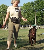  Изображение 348.webp