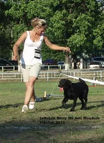  Изображение 375.webp