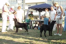  Изображение 392.webp