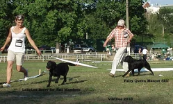  Изображение 400.webp