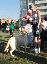  Изображение 405.webp