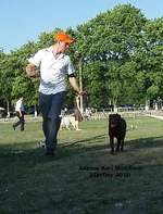  Изображение 411.webp