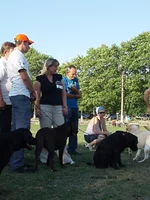  Изображение 429.webp