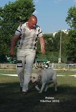  Изображение 438.webp