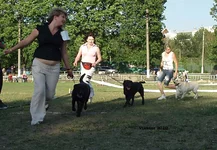  Изображение 451.webp