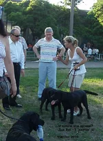  Изображение 470.webp