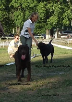  Изображение 503.webp