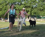  Изображение 511.webp