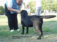  Изображение 518.webp