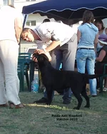  Изображение 533.webp