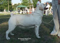  Изображение 547.webp