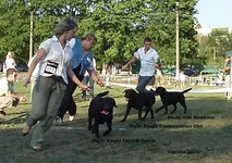  Изображение 557.webp