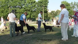  Изображение 572.webp