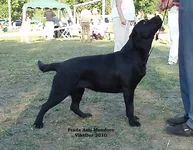  Изображение 554.webp