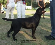  Изображение 587.webp