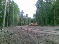 36391625.webp