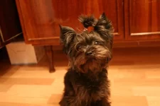 a5cc539731d5.webp