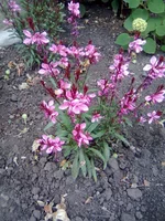 0100.webp