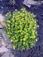 0109.webp