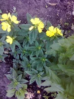 0114.webp