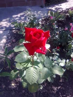 0122.webp