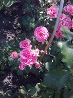 0124.webp