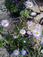 0131.webp