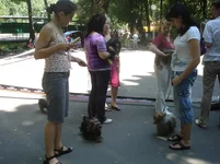 DSC00162.JPG