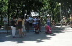 DSC00175.webp
