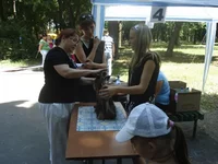 DSC00190.webp