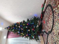 IMG_20200116_202321.webp