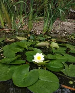IMG_20190914_194317_958.webp