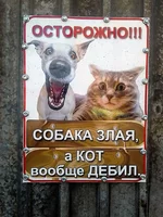 Собака злая, а кот дебил.jpg