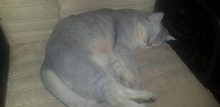 20200125_024041.jpg
