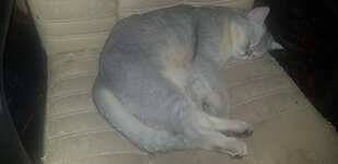 20200125_024047.jpg