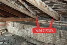gnilye-stropila.webp