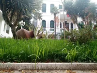 IMG-d20560c7a918fe1f55ef7e5deaf06270-V.webp