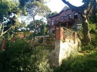 IMG-204bc90781176b89d976426219a8f01e-V.webp